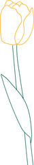 라인 튤립 일러스트