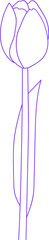 라인 튤립 일러스트
