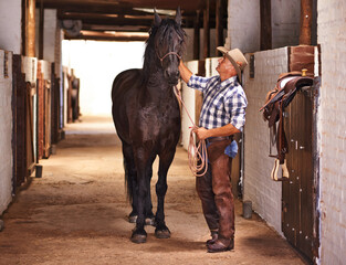 Cowboy, man and horse in stable for care with stroke, growth and development at farm, ranch or...