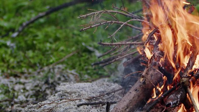 Abstract Oak Wood Bonfire in Flames Smoke and Ashes