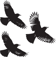Set of black birds silhouette on white background