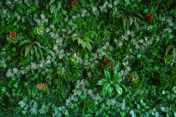 Collection of green leaves on wall for decoration in a coffee shop. Green nature. plant background