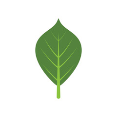 Green leaf logo vector element symbol template