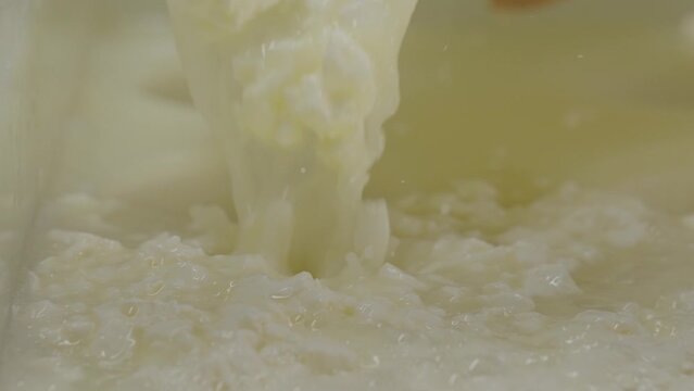 Cheese making process, removing whey from milk