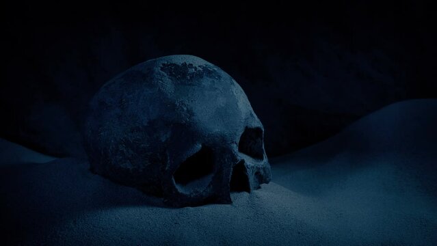 Old Skull In Dark Cave Moving Shot
