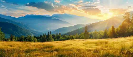 Photo sur Plexiglas Couleur miel A beautiful mountain landscape with a bright sun shining on the trees