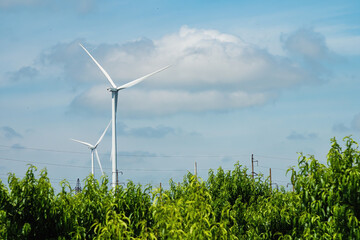 Wind turbines with big rotor blades generating clean energy for farms. Windmills produce...