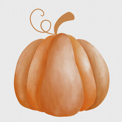 Orange pumpkin. Watercolor botanical illustration, isolated on white background. Watercolor painting on white background