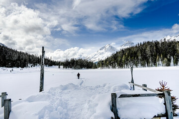 St. Moritz, Stazersee, Lej da Staz, Holzsteg, Stazerwald, Bergsee, Winter, Winterwanderweg, Schneedecke, Langlauf, Oberengadin, Piz Julier, Piz Albana, Alpen, Graubünden, Schweiz