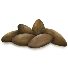 Cocoa beans, seed, cacao  set