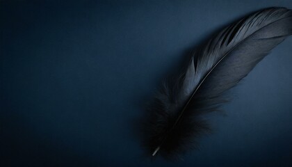 Dark Blue Background with Black Feather Stock Photo