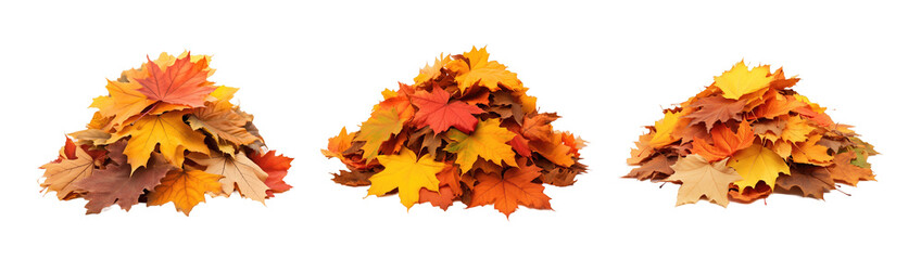 Collection of set Pile of autumn leaves isolated on transparent background. PNG file, cut out	