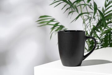 Porcelain cup and palm branch on white background