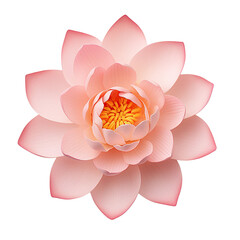 Lotus flower isolated on white or transparent background