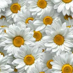 Fototapeta premium A Lot Of White Yellow Daisies or chamomile flowers - for full-frame background and seamless texture. Neural network generated image. Not based on any actual scene or pattern.