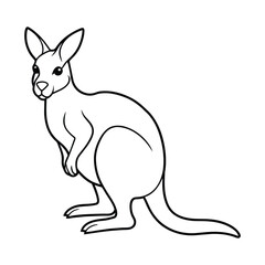 Kangaroo illustration coloring page for kids 