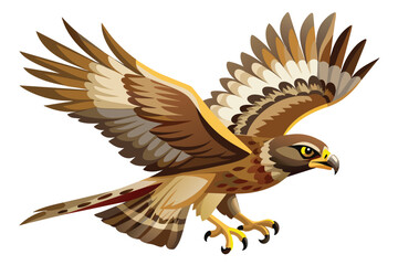 Buzzard Fly Vector Illustration Design