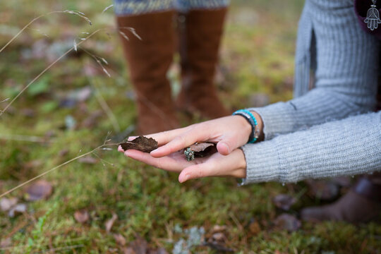 Hands holding a leaf in the forest
