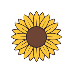 sunflower with good quality and design