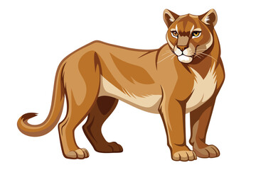 Cougar Vector Illustration Design