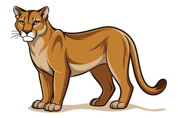 Cougar Vector Illustration Design