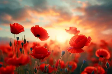 Fototapeten Beautiful nature background with red poppy flower poppy in the sunset in the field. Remembrance day, Veterans day, lest we forget concept. © Manzoor