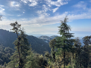Dharamshala, a city in the Indian state of Himachal Pradesh. Surrounded by cedar forests on the...