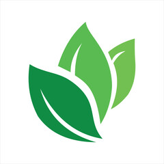 Leaf  three Logo Illustration