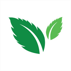 green leaf icon, mint leaves logo