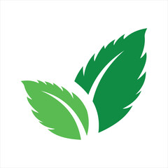 green leaf icon, mint leaves logo