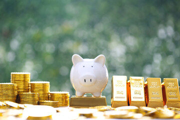 Piggy bank on gold bar and gold coin money on natural green background,Business investment and...