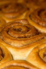 Freshly baked cinnamon rolls portrait photo