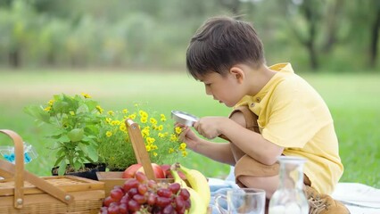 Mixed race little boy exploring the nature with magnifying glass outdoors, children playing in the park with magnifying glass. Curious kid exploring nature by magnifier