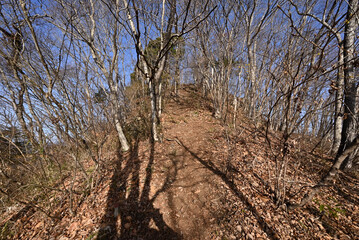 Obraz premium Climbing Mt. Namase-Fuji, Ibaraki, Japan