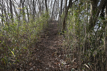 Climbing Mt. Namase-Fuji, Ibaraki, Japan