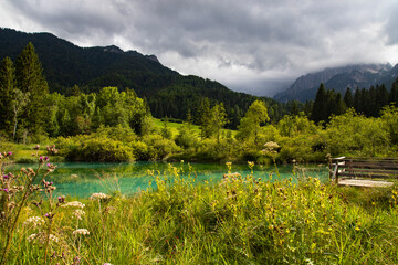 Zelenci - emerald-green lake in the mountains, in Kranjska Gora, Slovenia