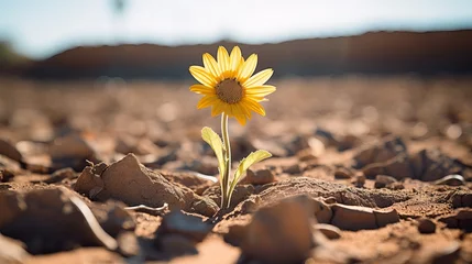 Foto op Canvas Resilient Flower: Symbol of Nature's Tenacity in Drought, Captured with Canon RF 50mm f/1.2L USM © Nazia