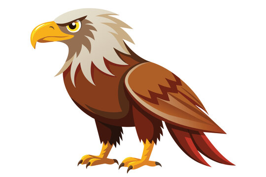 Eagle Vector Illustration Design