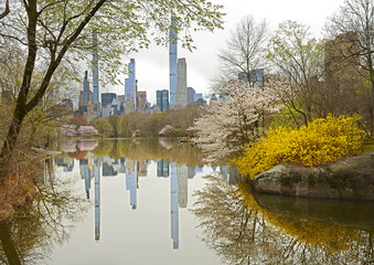 Flowering Turtle Pond in Central Park and skyscrapers and towers in Manhattan in spring. New York City