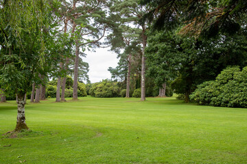 Muckross Garden in the Killarney National Park, County Kerry, Ireland