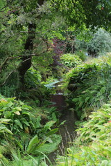 Muckross Garden in the Killarney National Park, County Kerry, Ireland
