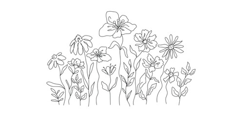 Hand drawn wildflower line art vector