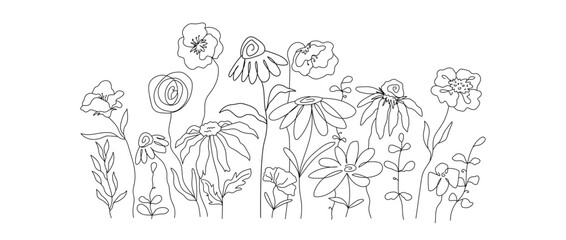 Line art flowers meadow vector, hand drawn wildflower line art, botanical garden line art