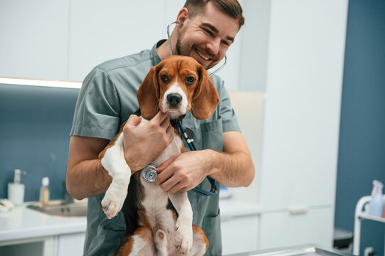 Positive man is holding animal. Dog in veterinarian clinic with male doctor