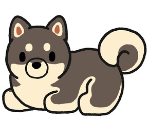 伏せをする黒柴