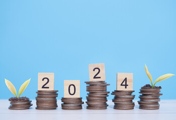 Wooden blocks with the number 2024 and plants growing up on stack of coins. The concept of saving...