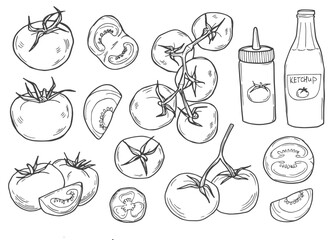 Set hand drawn tomato and sauce. Vector illustration decorative vegetables in old ink style.