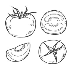 Set of hand drawn doodle tomato. Organic eco food. Half and slice of tomato. Vector sketch