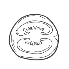 Outline Doodle Tomato Slice. Hand Drawn Illustration