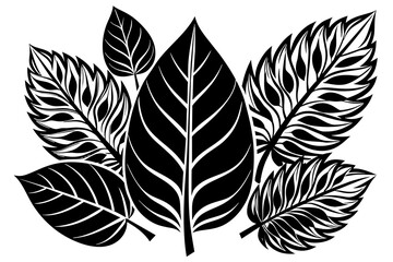 Vector leaves: nature in design